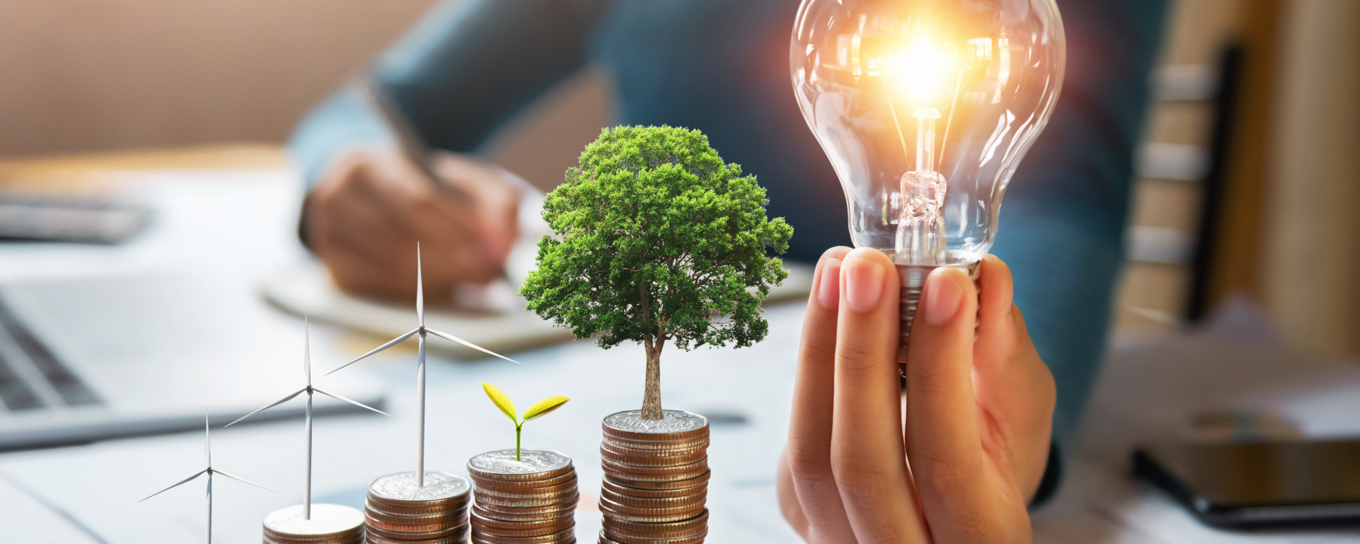 Investiční bubliny aneb Jak přežít finanční tsunami a ještě na tom vydělat